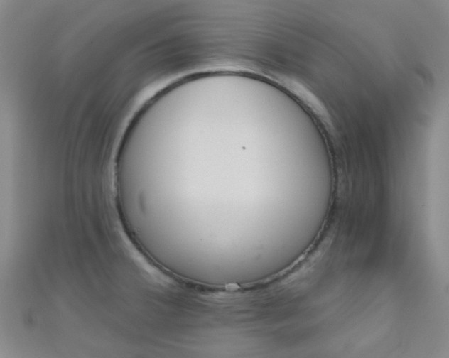 X0000110981380200907022047