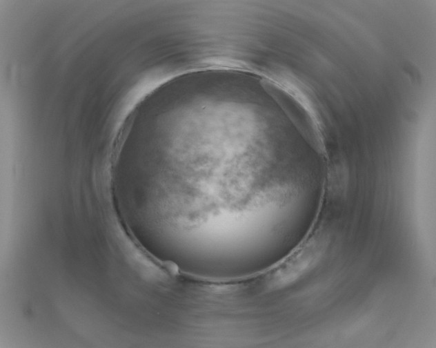 X0000110981381200907022047