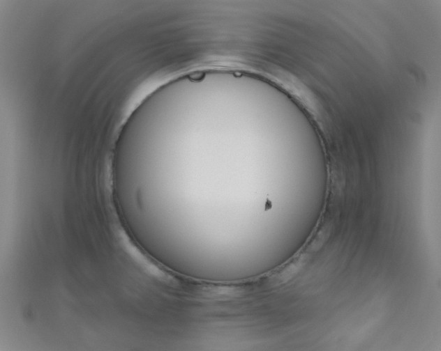 X0000110981382200907022047