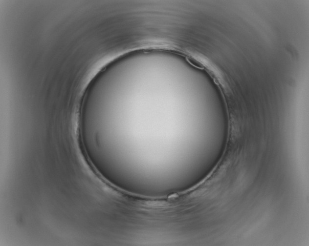 X0000110981383200907022046