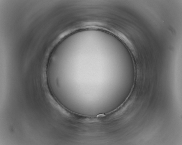 X0000110981384200907022046