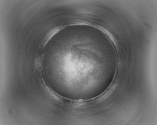 X0000110981385200907022046