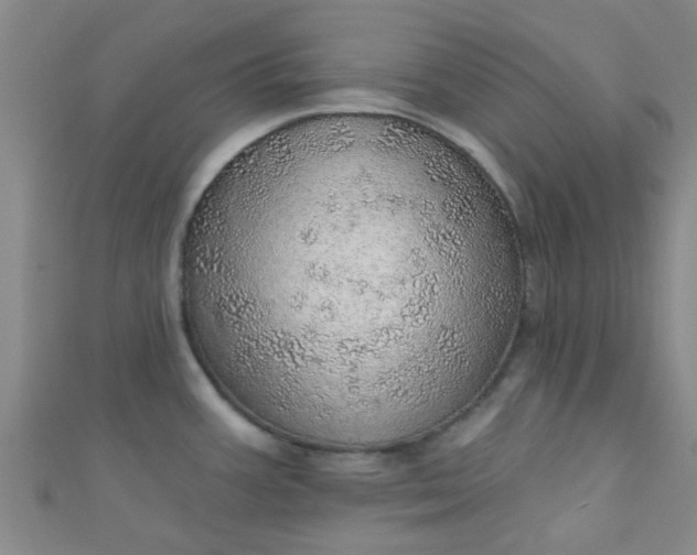 X0000110981387200907022046