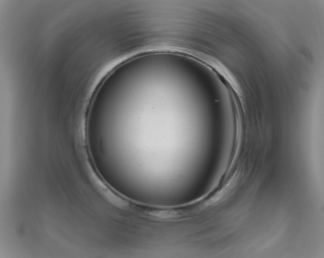 X0000110981388200907022046