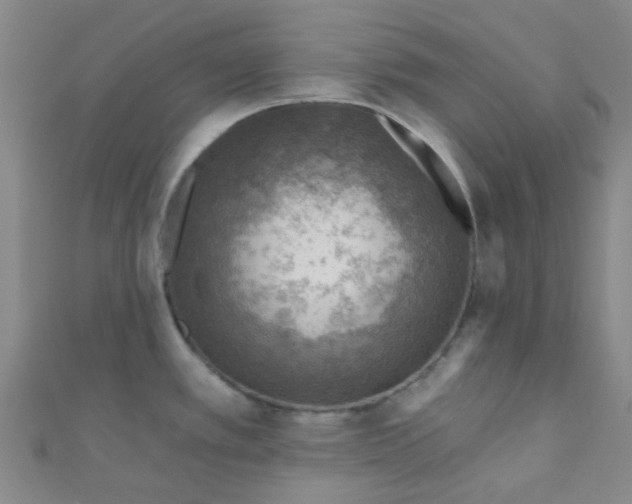 X0000110981389200907022046