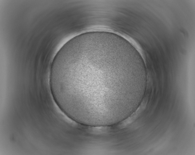 X0000110981390200907022046