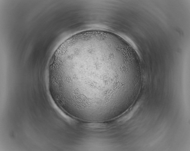 X0000110981391200907022046