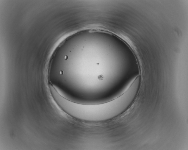 X0000110981392200907022046