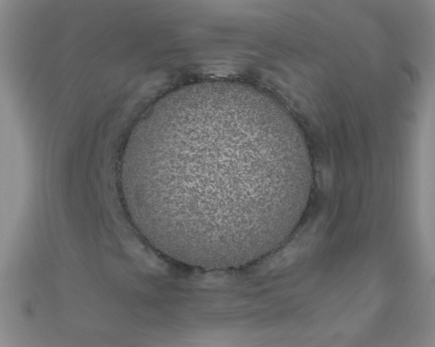 X0000110981393200907022046