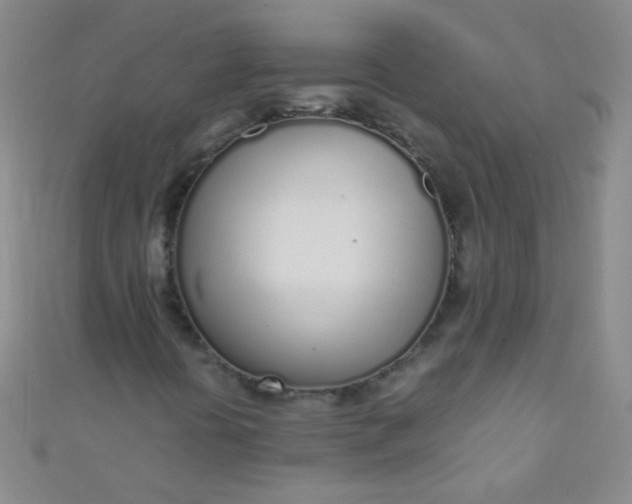 X0000110981394200907022046