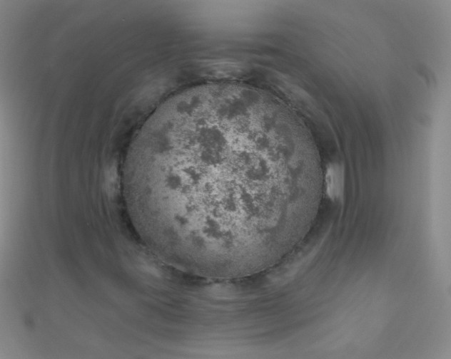 X0000110981395200907022046