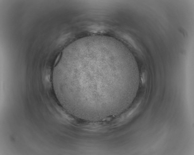 X0000110981396200907022046