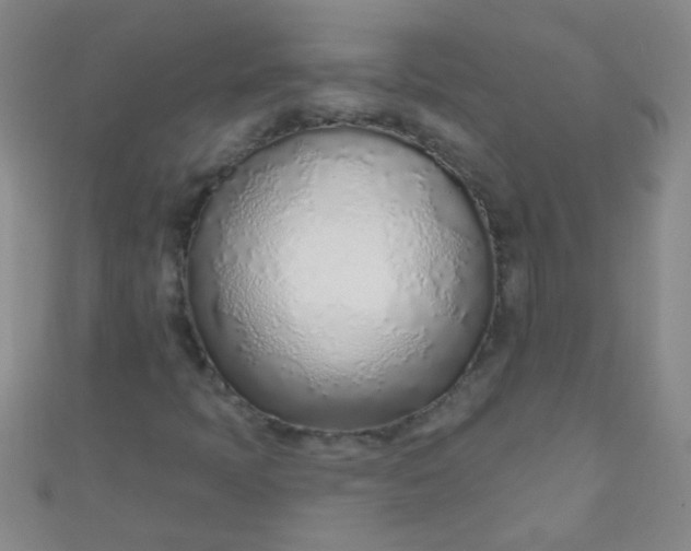 X0000110981397200907022046