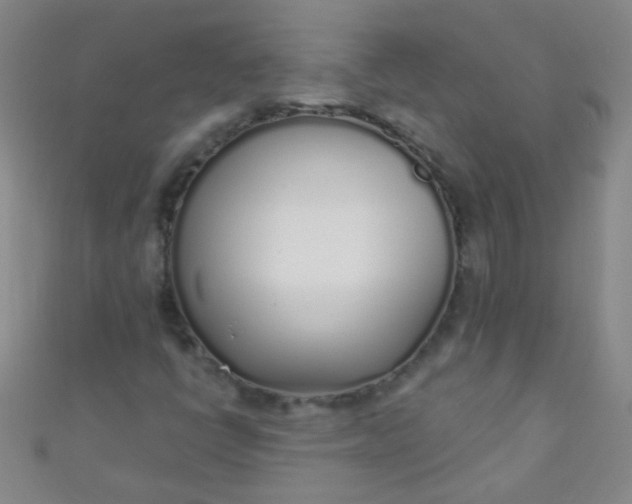 X0000110981398200907022046