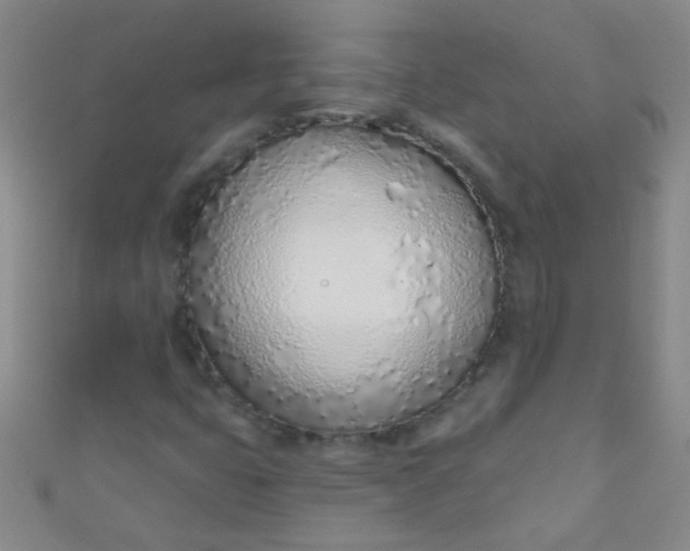 X0000110981399200907022046