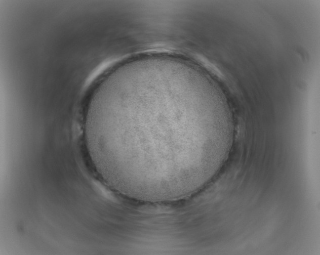 X0000110981400200907022046