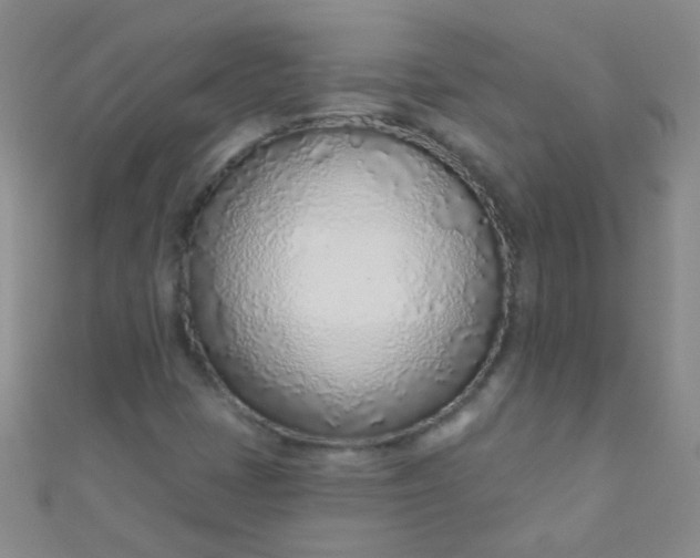 X0000110981401200907022046