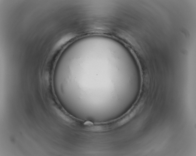 X0000110981402200907022046