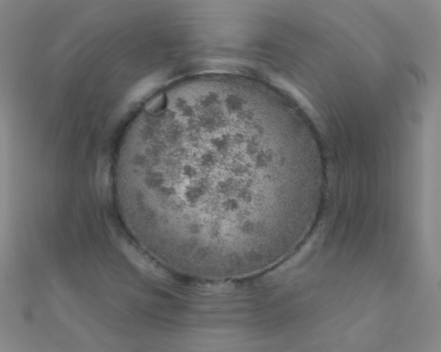 X0000110981403200907022046