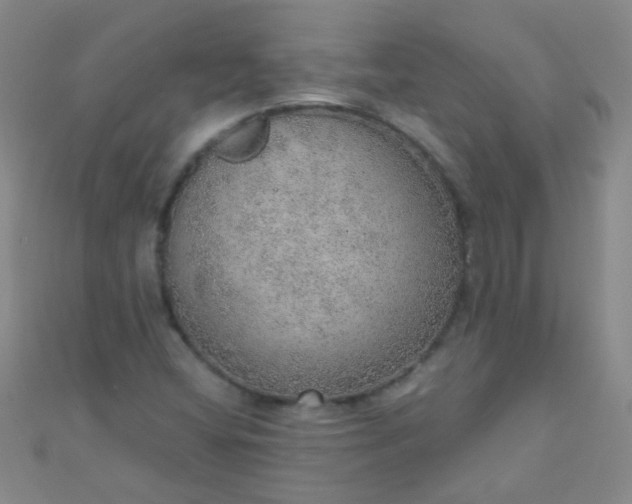 X0000110981404200907022046