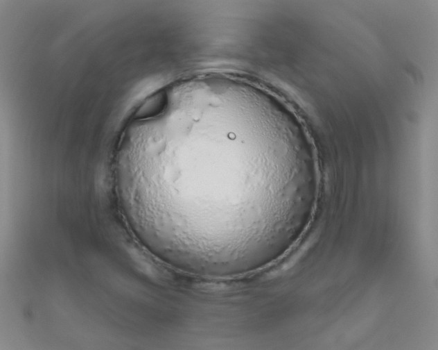 X0000110981405200907022046