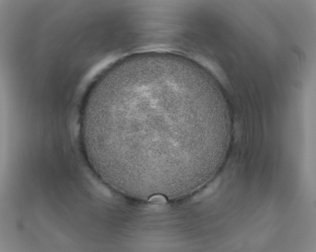 X0000110981406200907022046