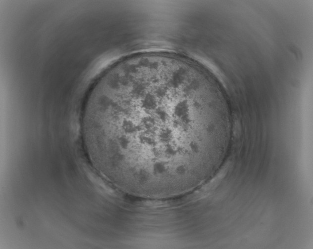 X0000110981407200907022046