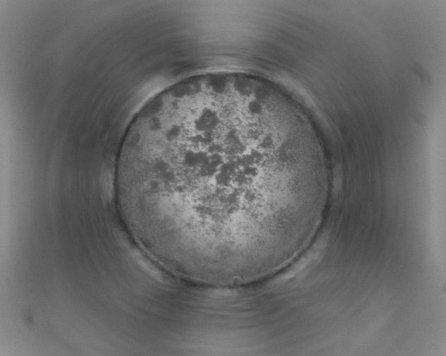 X0000110981409200907022046