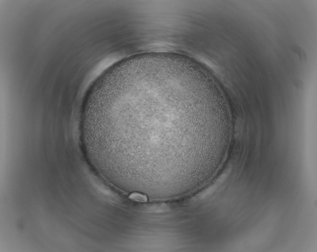 X0000110981410200907022046