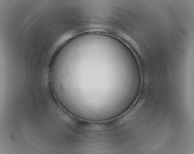 X0000110981411200907022046