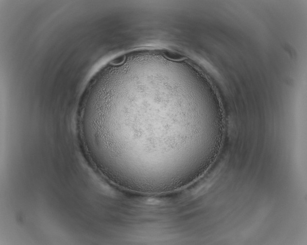 X0000110981412200907022046