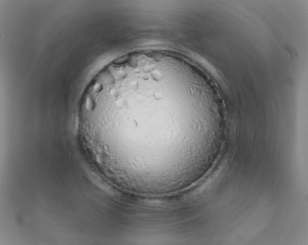 X0000110981413200907022046