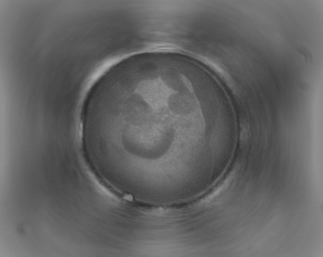 X0000110981414200907022046