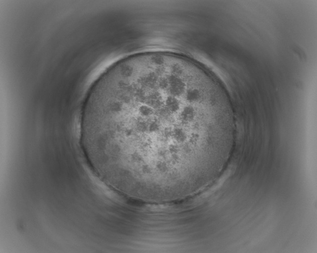 X0000110981415200907022046