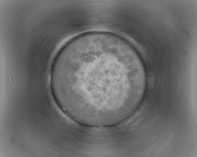 X0000110981416200907022046