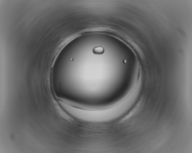 X0000110981417200907022046