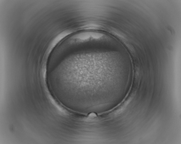 X0000110981418200907022046