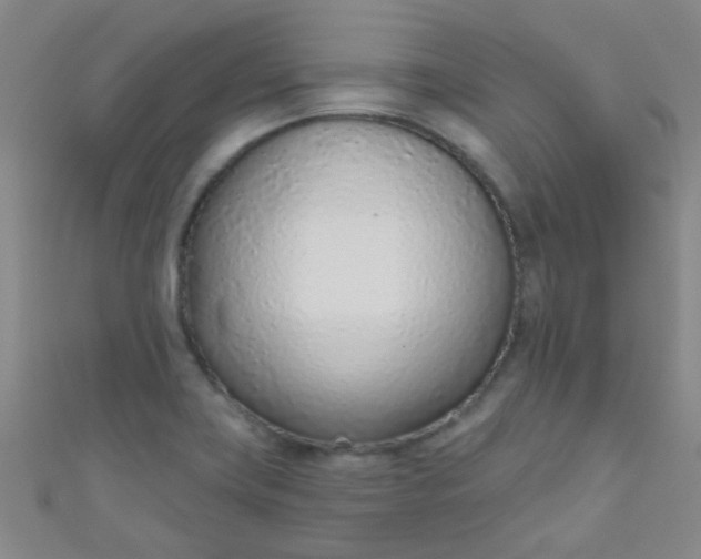 X0000110981419200907022046