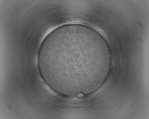 X0000110981420200907022046