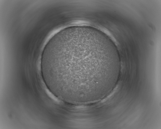 X0000110981421200907022046