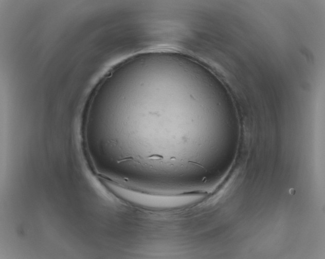 X0000110981422200907022046