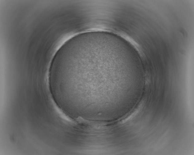 X0000110981423200907022046