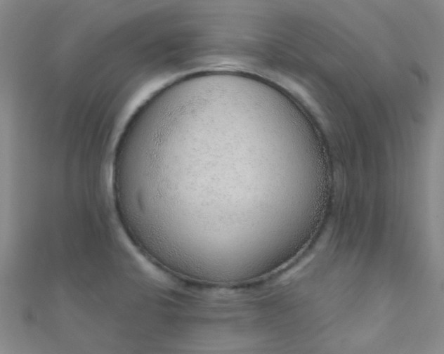 X0000110981424200907022046