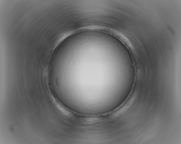 X0000110981425200907022046