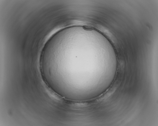 X0000110981427200907022046