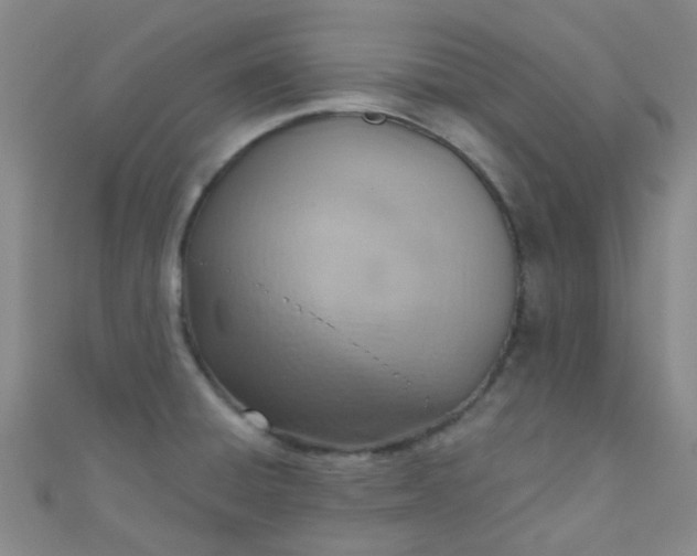 X0000110981428200907022046