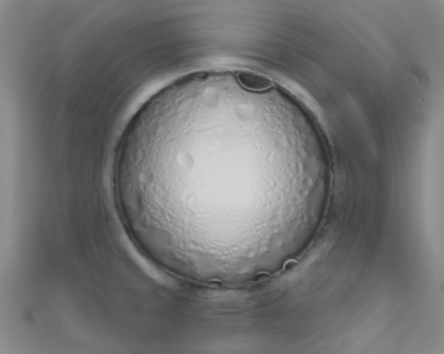 X0000110981429200907022046