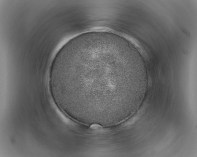 X0000110981430200907022046