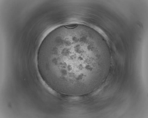 X0000110981431200907022046