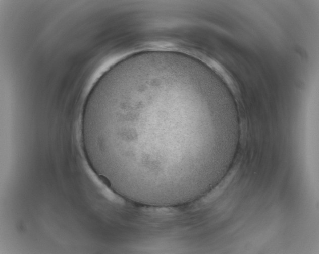 X0000110981432200907022046